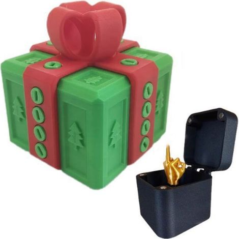 BOITE A COTILLON Doigt D'Honneur Boite Surprise Boîte Cadeau Imprimé 3D Really Annoying cadeau ennuyeuse pou TRANSPORT DES ALIMENTS (1/5)