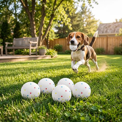 Lot de 6 Balles pour Chien en ETPU Ø58mm Blanc (1/5)