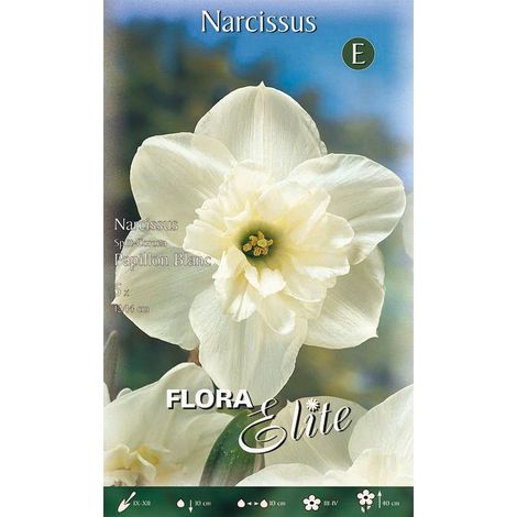 Bulbi di Narciso Split Corona Papillon Blanc 5 Bulbi
