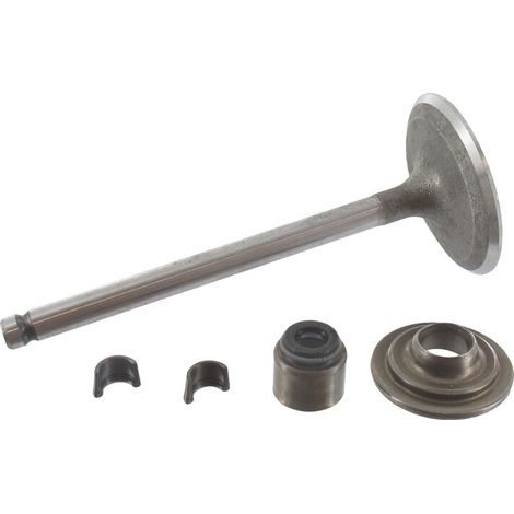 Valvola aspirazione Briggs et Stratton 495857 - 695761 - 791935