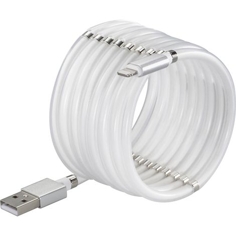 Renkforce Câble USB USB 2.0 USB-A mâle, Connecteur Lightning 1.00 m blanc TO-6897012 A007712