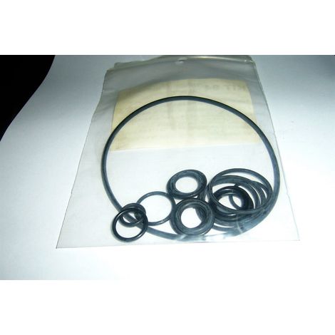 KIT ORING GUARNIZIONI POMPA IDROPULITRICE LAVORWASH 6.005.0094 ORIGINALE