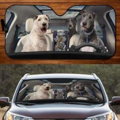 Pare-soleil amusant pour pare-brise de voiture, raquettes tennis