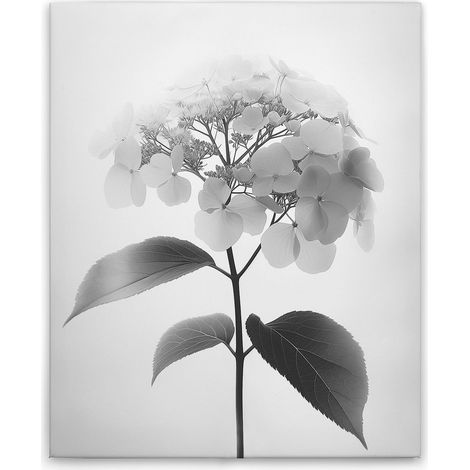 Leinwandbild Blumen Vintage SW M1-No.51792 - Kunstdruck auf Leinwand in Schwarz Grau - Wandbild 40 x 50 cm (1/5)