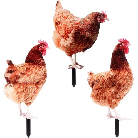 3 Stück Hühnerschild Gartendeko Hühnerpflock aus Acryl mit