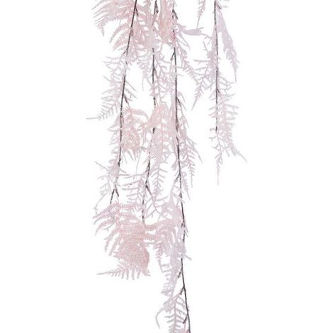Asparagus Rosa Fashon dim 12x34x110 cm