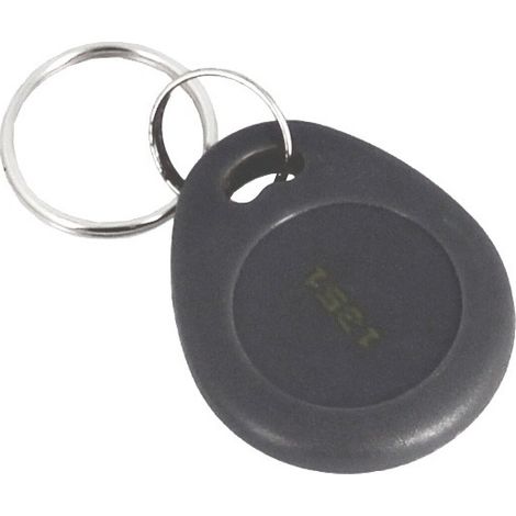 Badge proximité XPR PCBEM 125 KHz EM Marin Gris foncé Porte-clés (1/2)