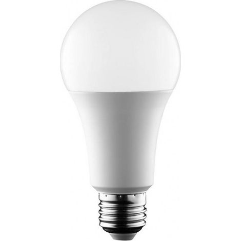Ampoule LED E27 14W A65 1400 lumens - Blanc Froid (1/5)