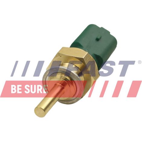 Sensore rapido di temperatura dell'acqua FT80154 (1/2)