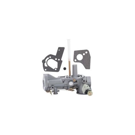 Convient pour carburateur Briggs & Stratton 495459 495460 499952 499953 5HP (1/4)