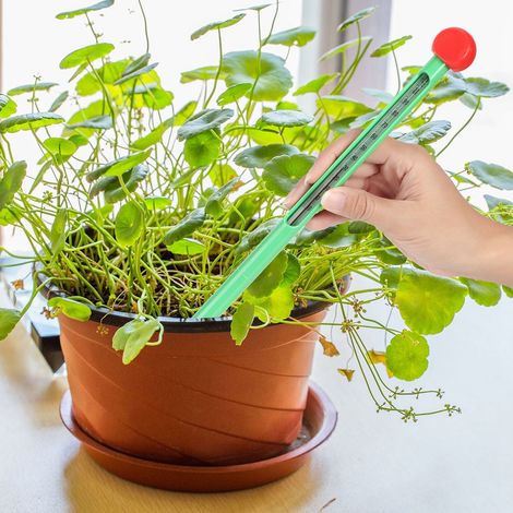 Thermomètre de sol -10-110 °C pour plantes de jardin et de pelouse (1/5)