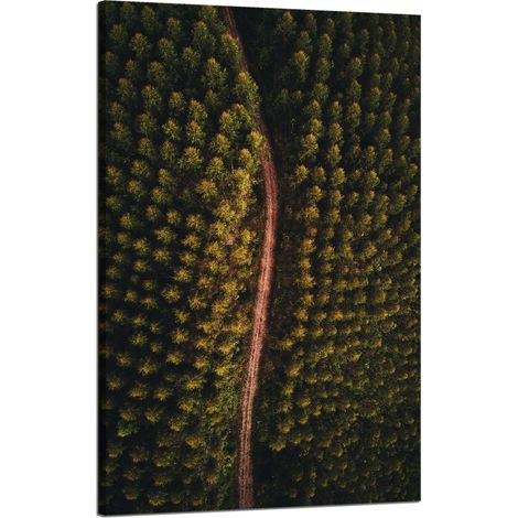 Leinwanddruck Naturstraße aus der Vogelperspektive 50x80