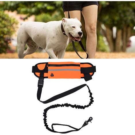 Sac banane de sport, laisse pour chien, ensemble laisse de course élastique réfléchissante et anti-explosion orange (1/5)
