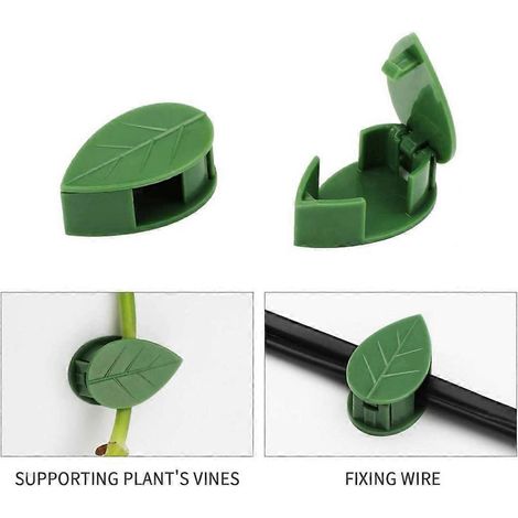 Lot de 10 fixations invisibles pour plantes grimpantes murales, crochets adhésifs. (1/4)