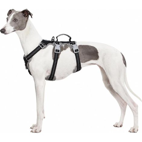 Harnais Anti-évasion pour Chien, Harnais d'artiste d'évasion,Respirant, Durable, Gilet réglable pour Chiens de Taille Moyenne, Marche, entraînement et équipement de Course (Noir, L) (1/5)