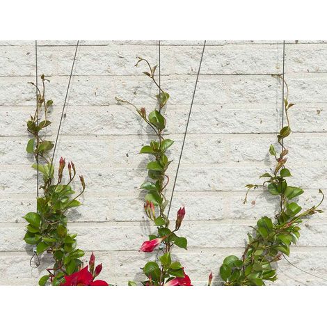 Treillis invisible personnalisable en métal – Dimensions 10 x 0,18 x 0,18 m – Pour tuteur mural plantes grimpantes – Forme personnalisée – Nature