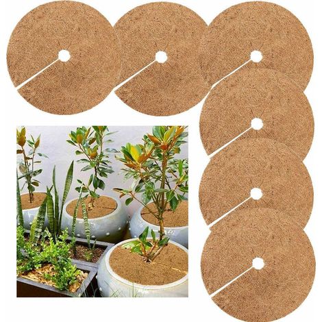 Tappetino per piantagione in cocco, disco per pacciamatura in cocco, protezione invernale per piante in vaso, protegge le radici delle piante in vaso dal gelo, 30 cm, 6 pezzi (1/5)