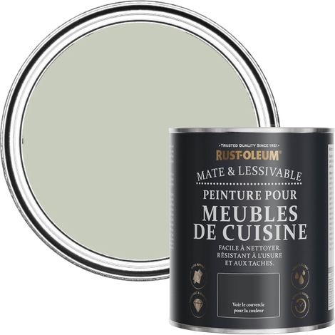 Peinture Verte pour Meubles de Cuisine, Finition Mate - Aloé Vera 750ml (1/5)