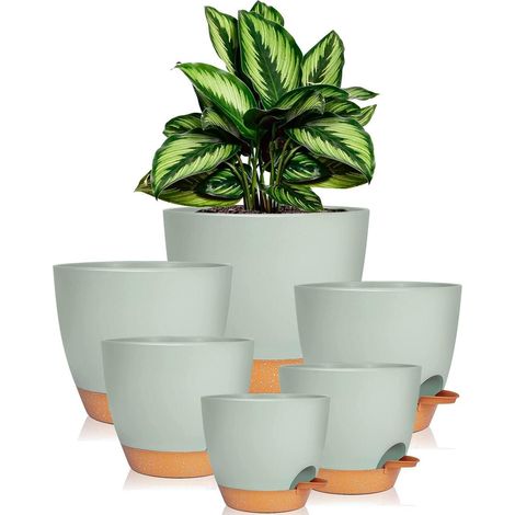 Blumentopf-Set mit Untersetzer, 6er-Pack, Selbstbewässerung, für Kräuter & Sukkulenten (1/5)