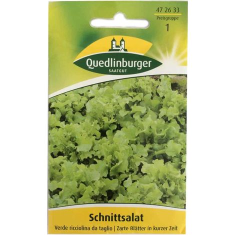 Quedlinburger Schnittsalat Verde ricciolina da taglio - Gemüsesamen (1/2)