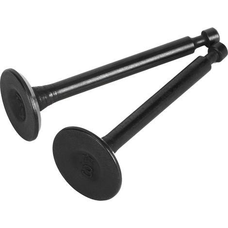 Lot de 2 soupapes d'admission et d'échappement pour débroussailleuse à quatre temps Honda GX35/Huasheng 140FA