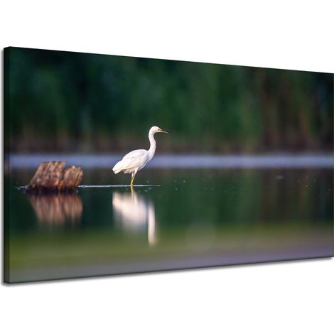 Leinwanddruck Tiere Weißer Reiher 120x70 cm