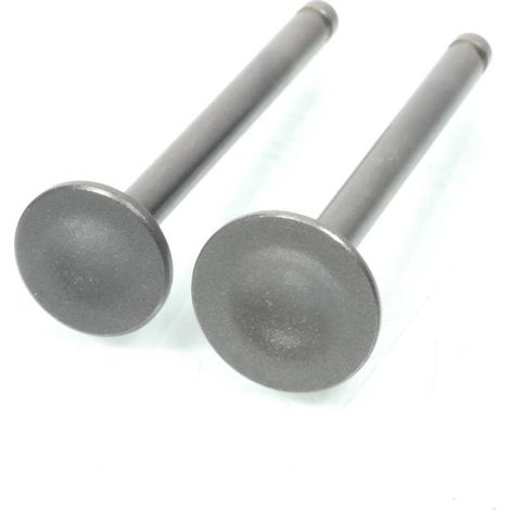 Pièce moteur diverse soupape P2R pour scooter Chinois 50 139QMB (1/2)