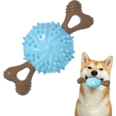 Balle à mâcher pour chien, balle de nettoyage dentaire, jeu d'interaction sur le gazon, convient aux chiens de petite et moyenne taille, bleue. (1/4)