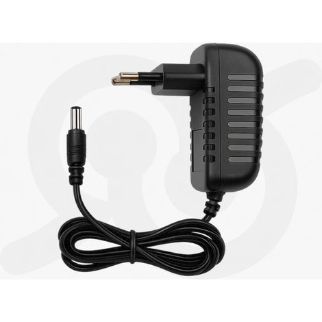 Alimentatore Da 2 Ampere 12 Volt Per Telecamera E Striscia A Led 2.1/5.5 mm CCTV