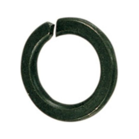 SC RONDELLA GROWER D 10 MM DA 80 PZ