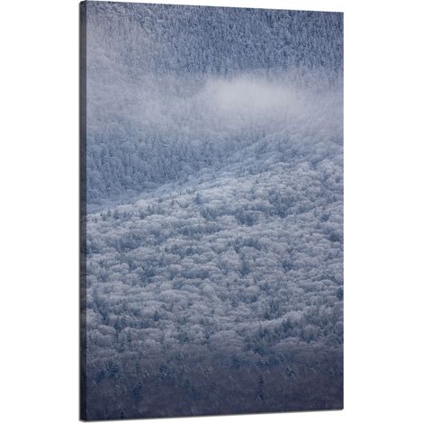 Lienzo impreso Naturaleza Bosque nevado 50x80 cm