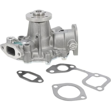 Pompe à eau BRIGGS & STRATTON 825265