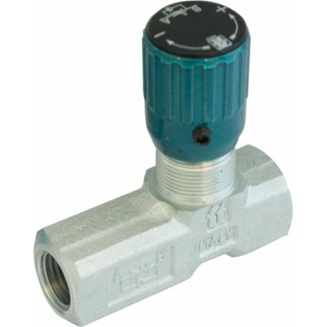Lem Select – Régulateur de débit unidirectionnel 1/4' – Limiteur de pression 350 bars – Débit 15 litres – Pour usage professionnel