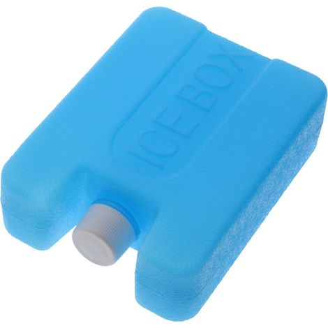 Delonghi IceBox contenitore acqua ghiaccio ventilatore ad evaporazione EV250 (1/2)