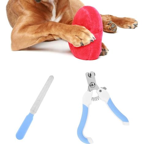QAZQA Coupe-Ongles pour Animaux, Ciseaux à Ongles pour Chats avec Lime à Ongles Coupe-Ongles pour Chiens Coupe-Griffes en Acier Inoxydable (Bleu et Blanc) (1/5)