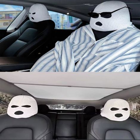 Housse appui-tête voiture universelle amusante - 2, Accessoire siège voiture toutes marques - Multicolore Aucuneary (1/5)