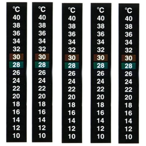 BUNTHAUS Lntyq Lot de 5 thermomètres pour aquarium, autocollants pour thermomètre, récipient en verre, test de température de l'eau à 10 et 40 degrés Celsius
