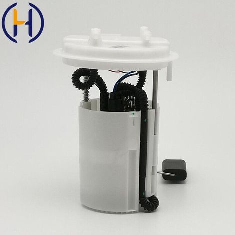 Passend für Peugeot 307/206/C5/C4, Kraftstoffpumpeneinheit 1525SK 525V0 (1/4)