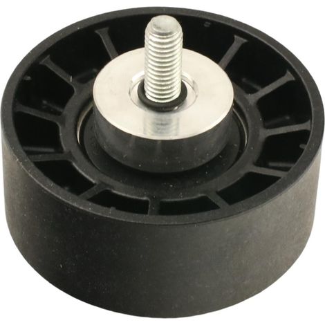 Tensor de correa micro-V Fiat OR 5802438306 (1/3)