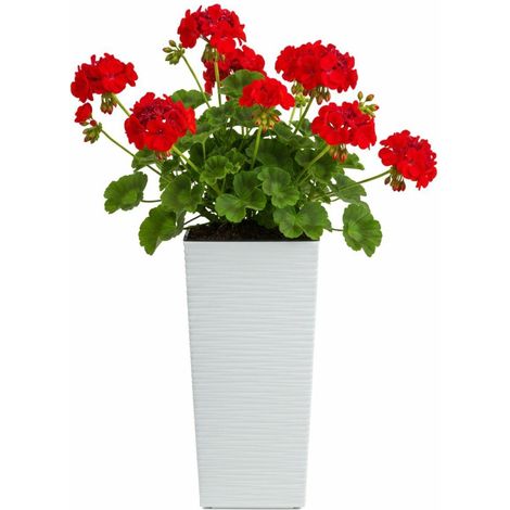 Maceta Porto Riflo blanca, 36,6 x 18,9 x 18,9 cm.