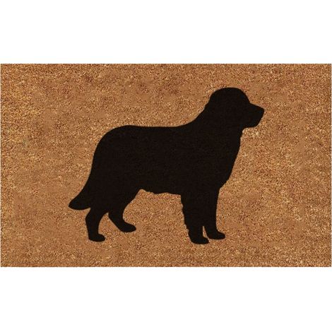 Tapis D'Entrée - Absorbant Anti-Dérapant Pour Porte D'Entrée Intérieure Ou Extérieure - 40 x 60 cm - 1 Pièce (1/5)