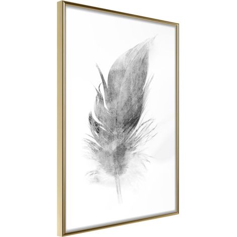 Affiche Murale Encadrée "Lost Feather Grey" 30 x 42 cm Or
