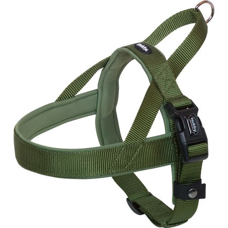 Nobby Norweger-Hundegeschirr Classic Preno waldgrün