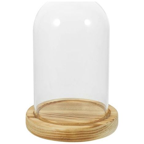 Présentoir pour fleurs séchées avec cloche en verre, support transparent pour fleurs stabilisées-15X9CM-Transparent1 (1/3)