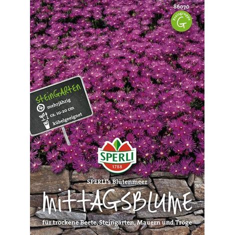 Sperli Mittagsblumen SPERLI's Blütenmeer - Blumensamen (1/4)