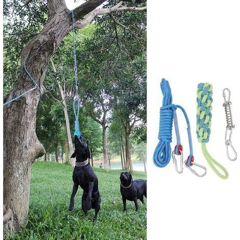 Interaktives Federseil-Hundespielzeug, rostbeständige Edelstahlfeder, elastisches Hundeseil für Outdoor-Spiel- und Trainingspads H577 (1/4)