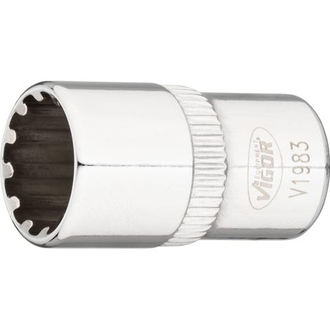 VIGOR Innenvierkant Antrieb 6,3 = 1/4 Zoll Multiprofil-Steckschlüssel-Einsatz Multiprofil V1983 Vierkant hohl 6,3 mm (1/4 Zoll) 10 Gesamtlänge: 25 mm (1/4)