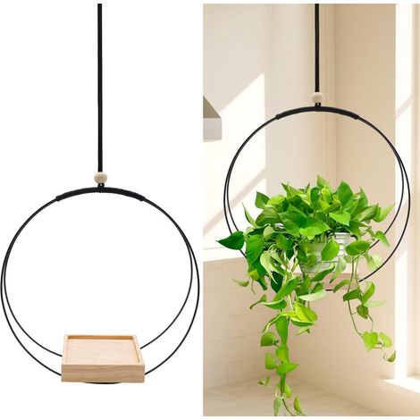Support Plante Mural Balcon, Crochet de Suspension Panier Suspendu,Murale pour Plantes Décor Extérieur pour Balcon de Jardin de Plante décor Mural (1/5)