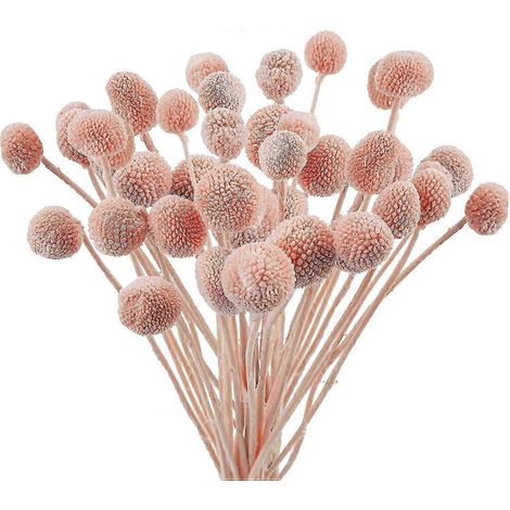 20 fleurs artificielles séchées Craspedia, fausses boules de fleurs séchées Billy Button pour la décoration de la maison, du bureau, des fêtes et des mariages (bleu) (rose) (1/5)