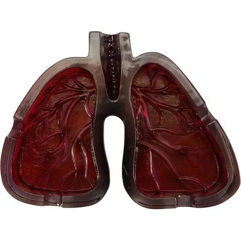Cendrier Original en Résine Forme Poumons Humains - Objet de Décoration Créatif pour Maison, Bureau et Salon - Accessoire Fumeur au Design Unique (1/5)